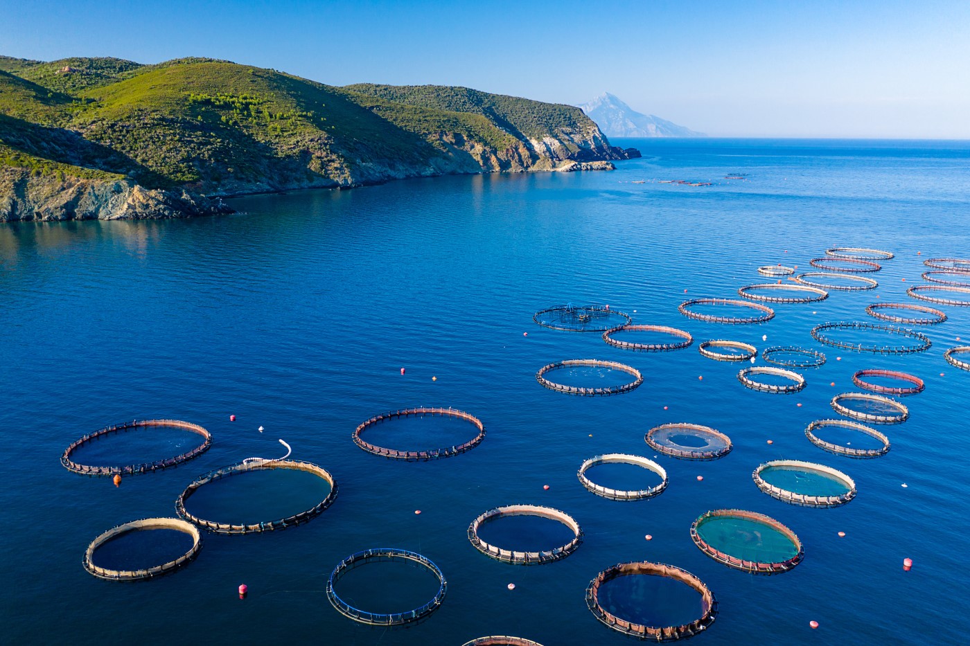 Aquacultuur & visserij