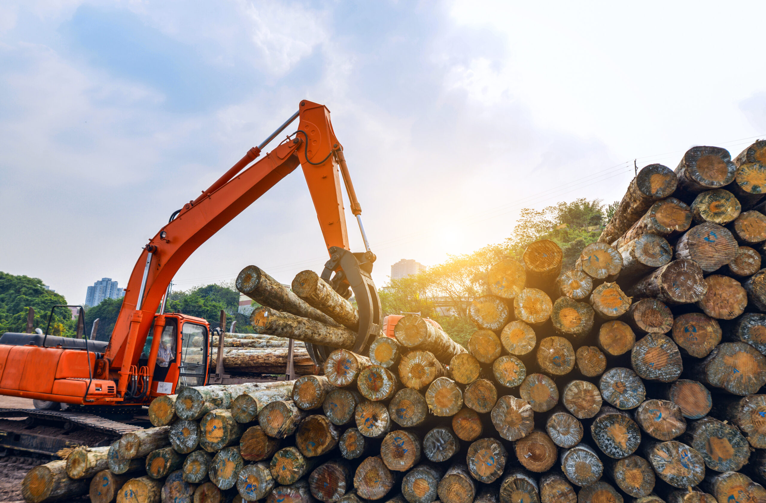 Control Union – Certifications – Forestry