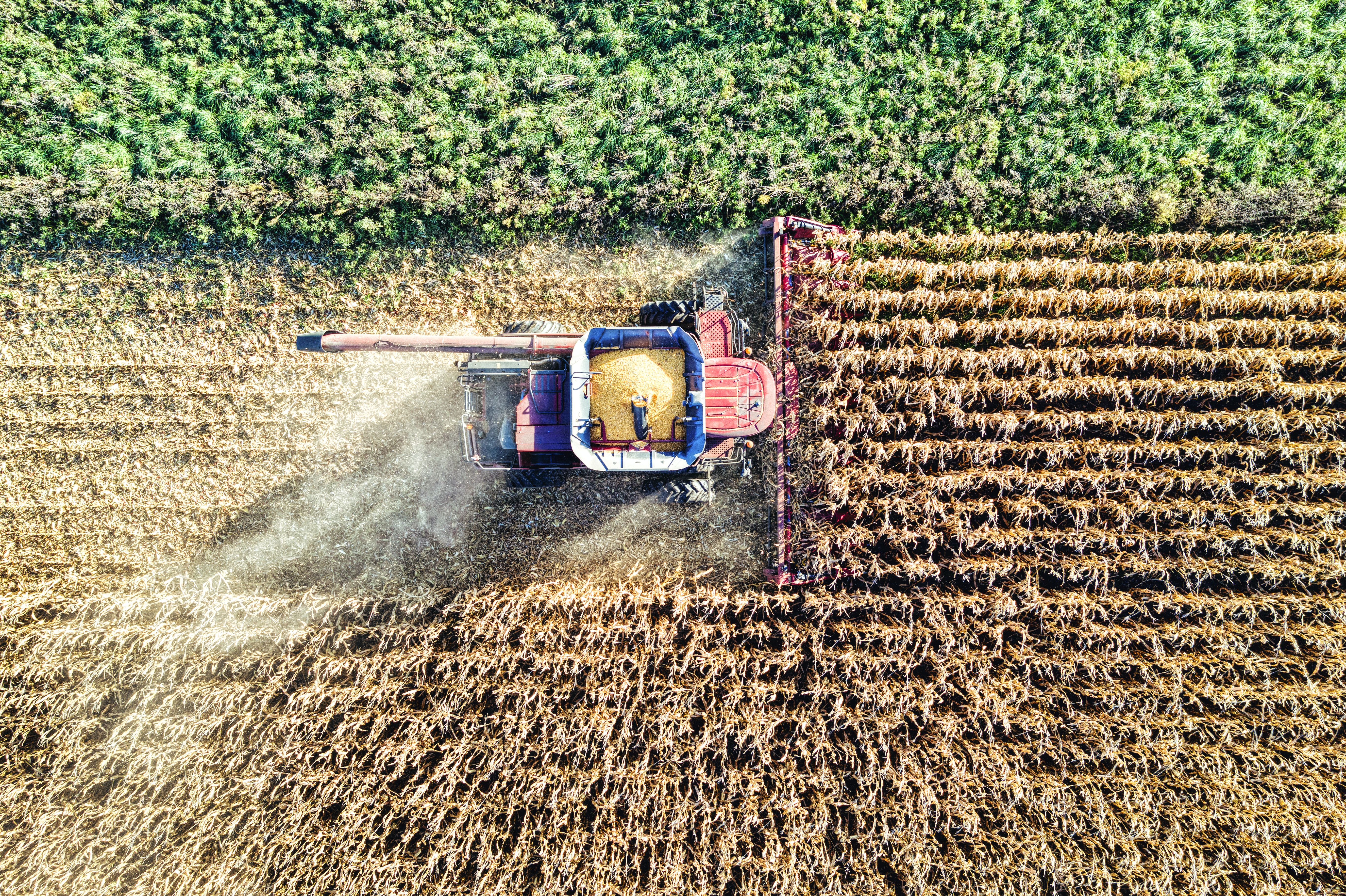 Control Union – Regenagri