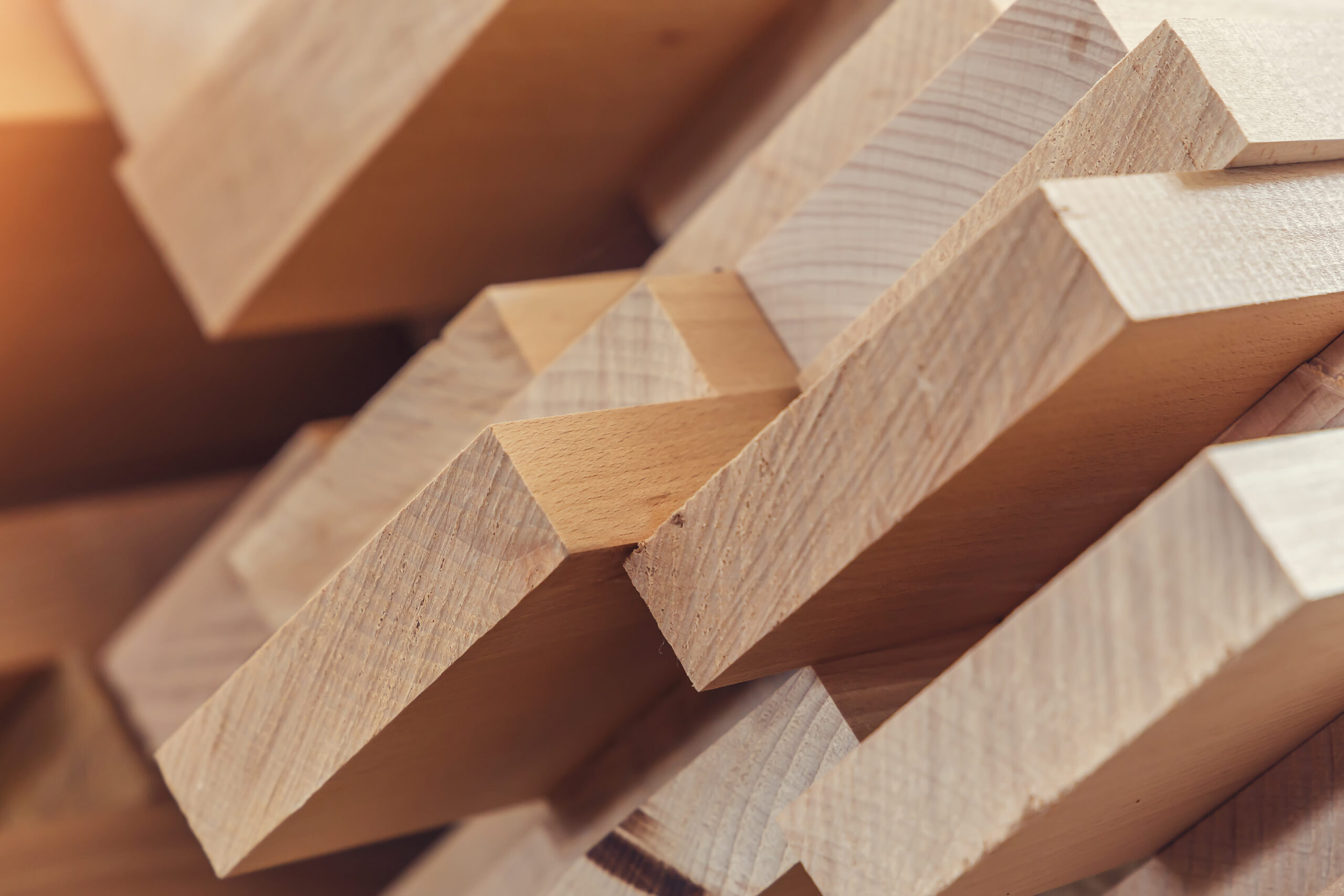 Bos, hout en papier