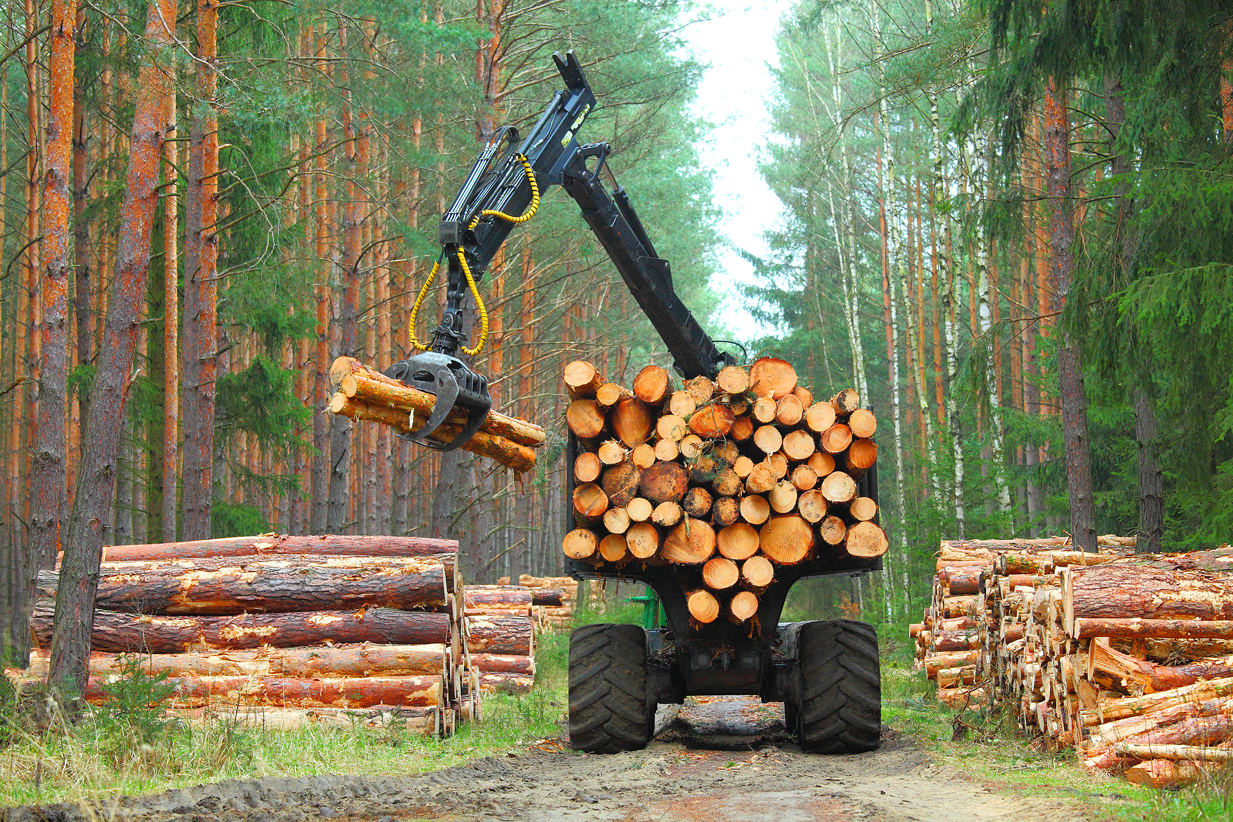 Control Union – Certificering