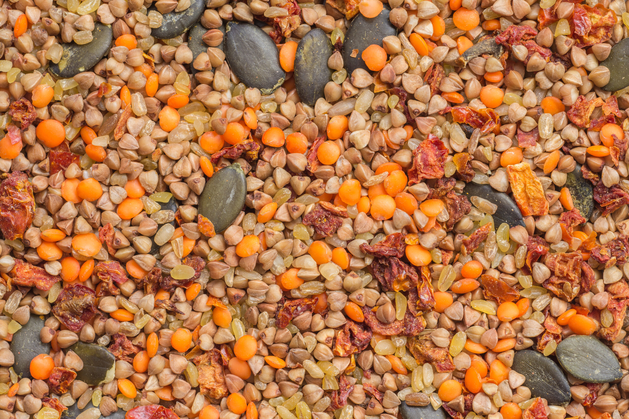 Assortment of roasted vegetable seeds and grains. Food background
