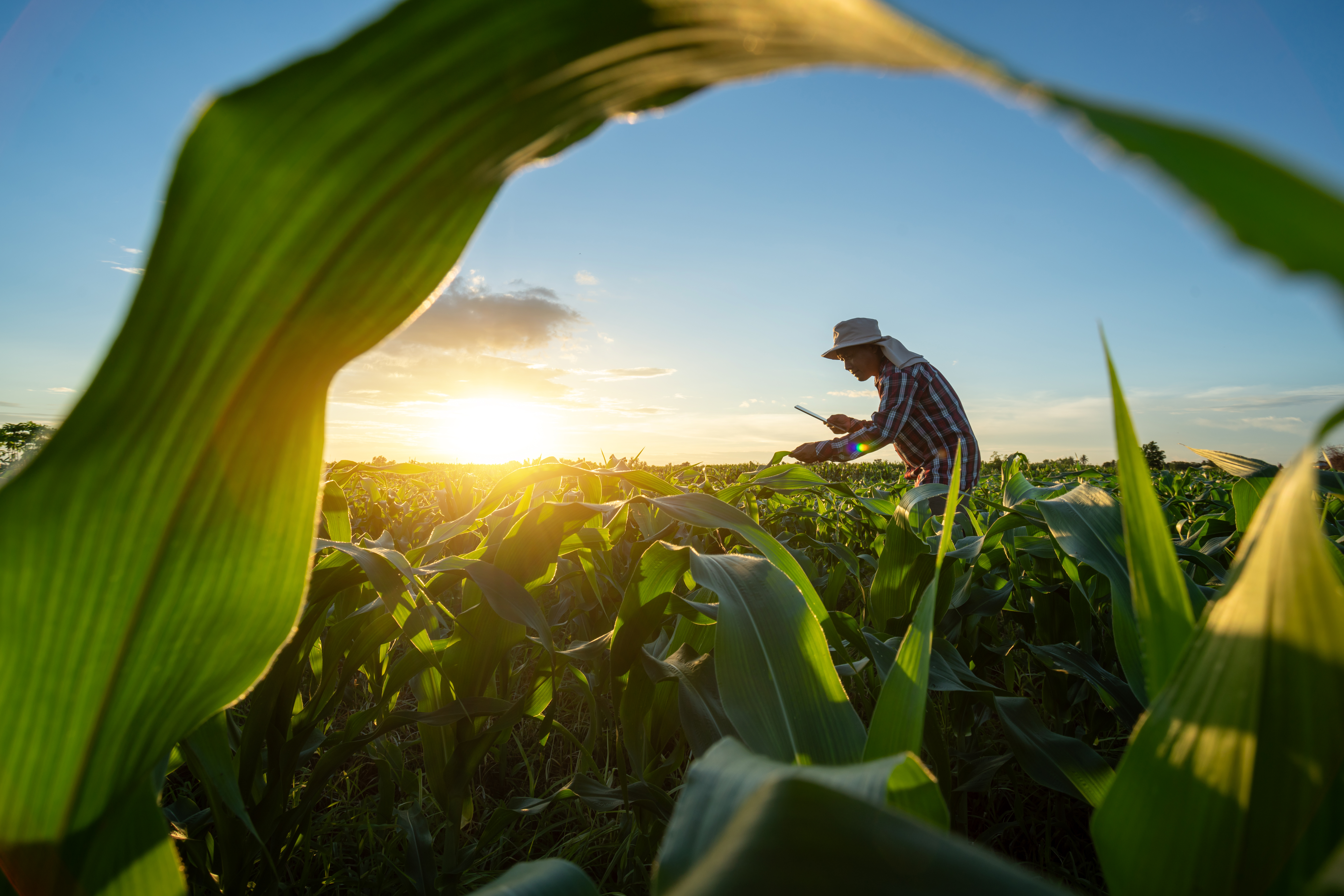 Control Union – Beter voor Natuur en Boer