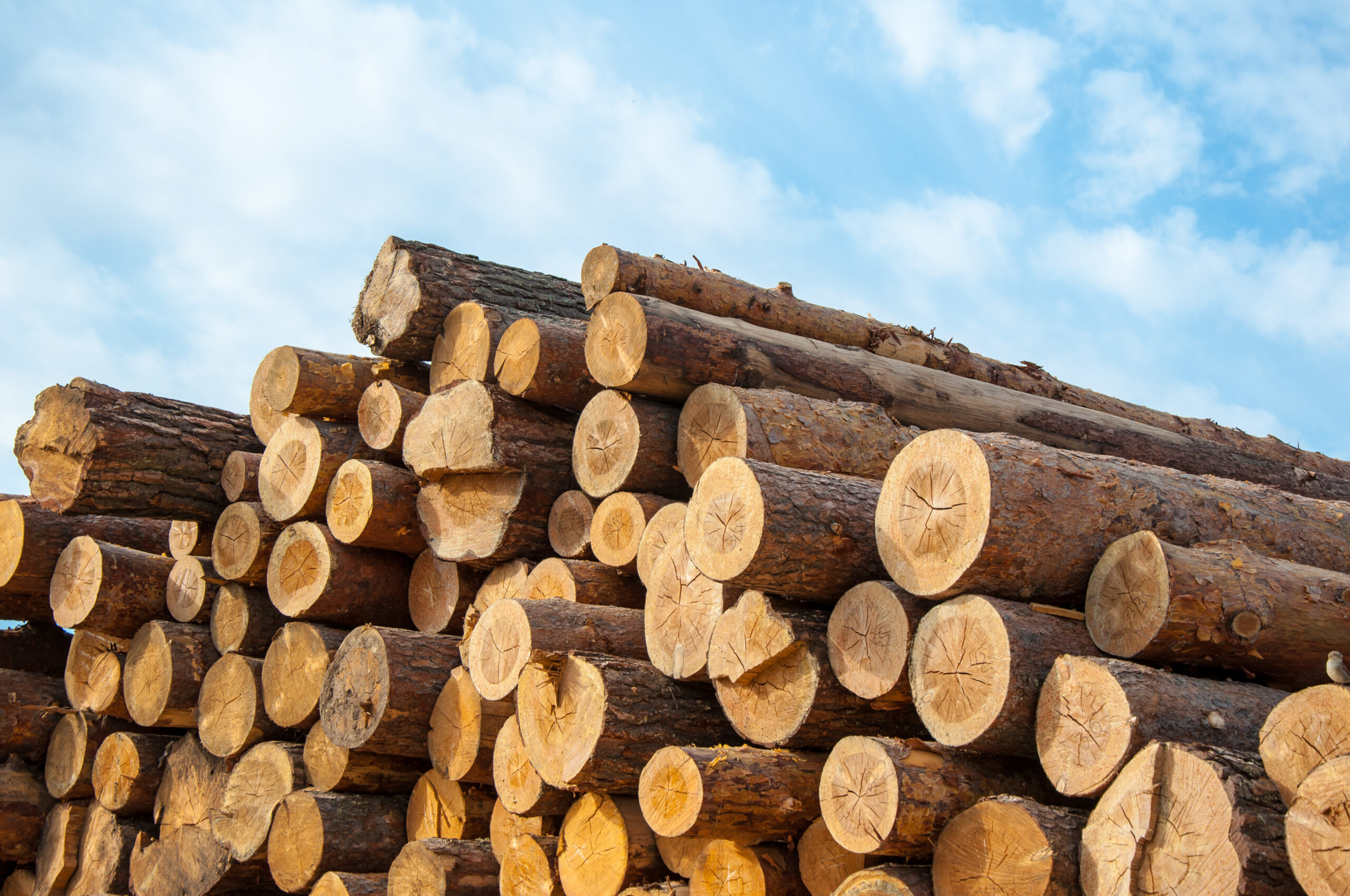 Control Union – Certificering