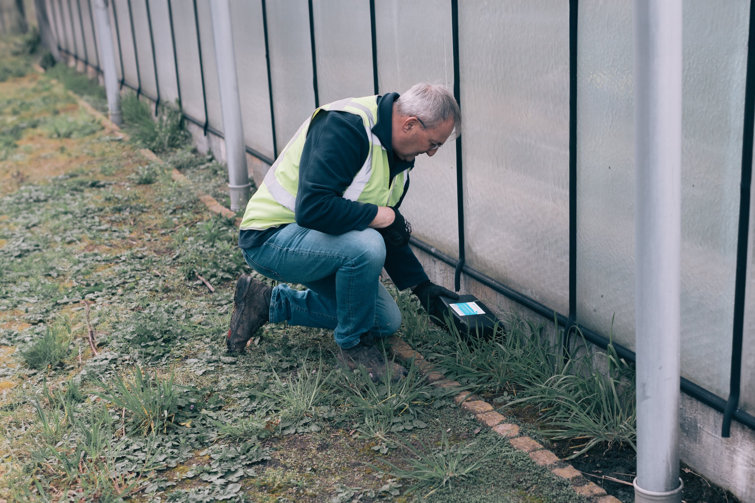 Control Union – Pest management – Ongediertebestrijding
