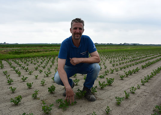 Control Union – Pest Management