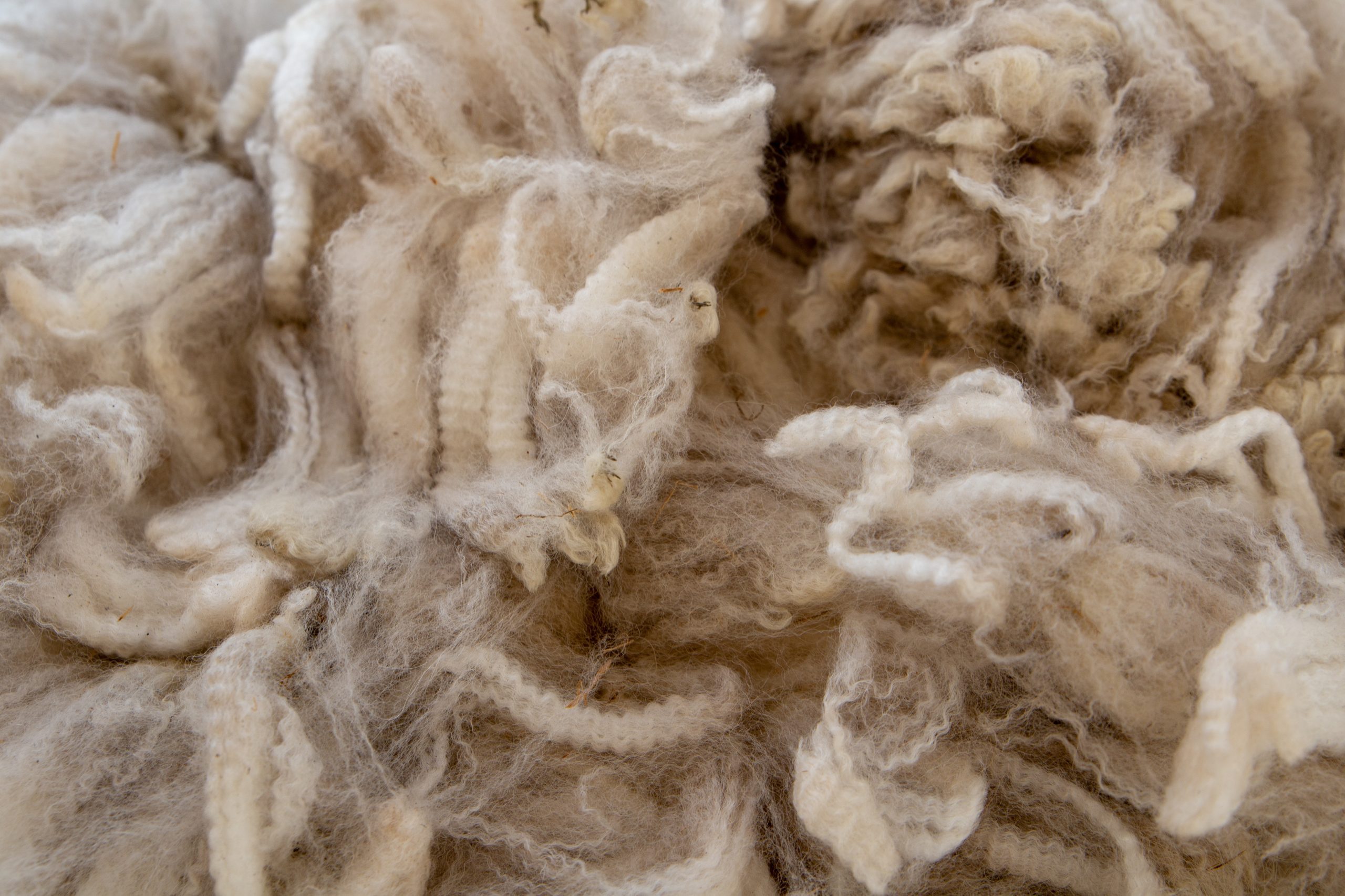 Responsible animal fibres
