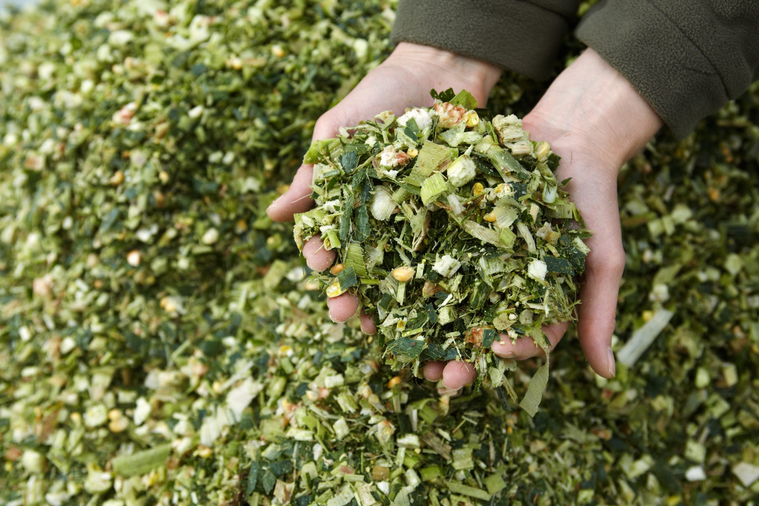 Control Union – Biomass Biofuel