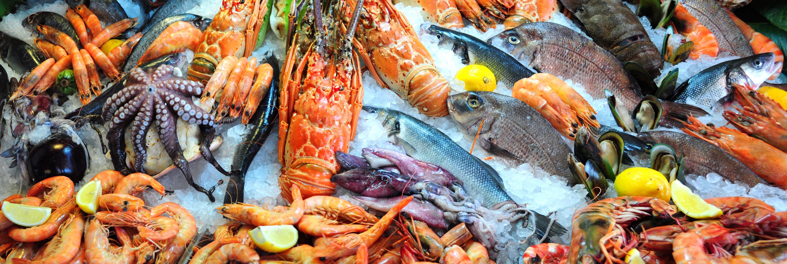 Control Union – Certifications Fisheries Control Union – Certifications Fisheries