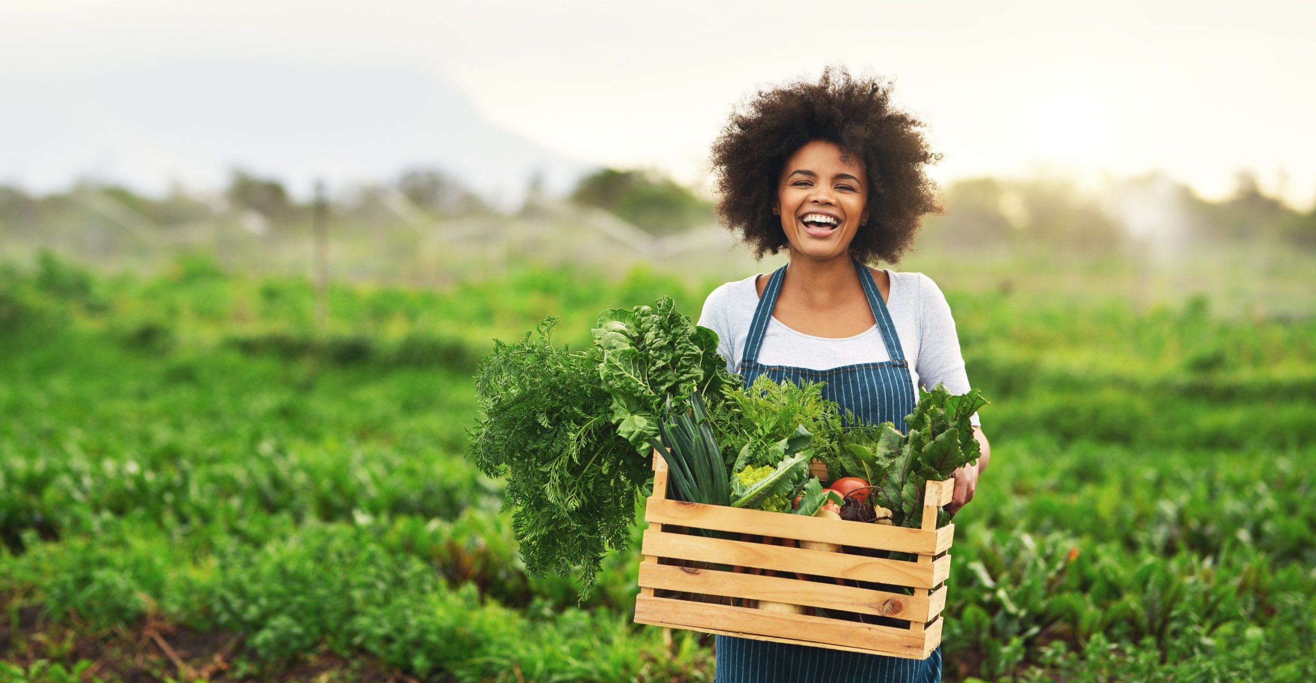 Control Union Organic Certifications