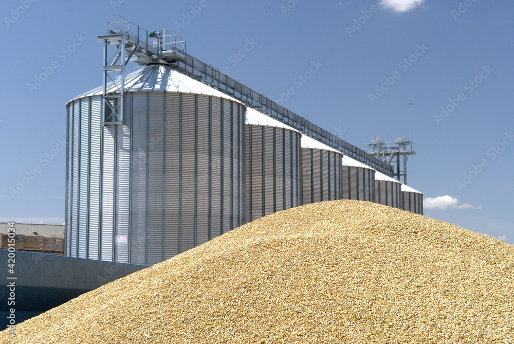 Stock monitoring agreement - SMA