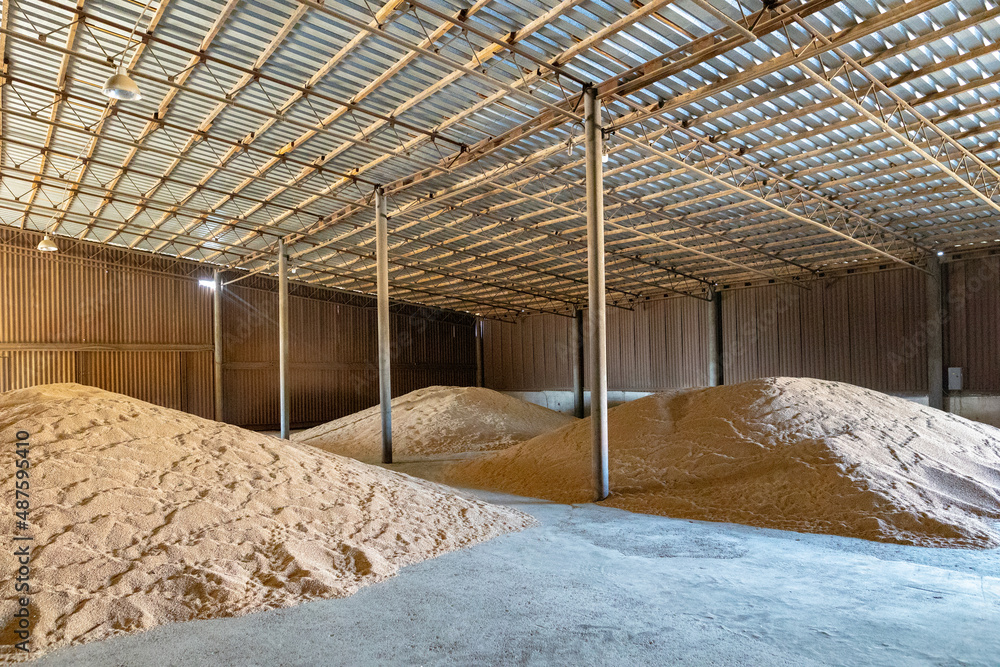 AdobeStock_487595410_Preview